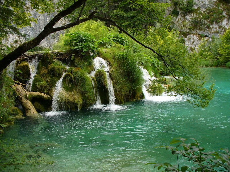 Small Waterfall in Forest — Green, Serene, Afternoon, Photograph, Trees, River, Rocks, Moss