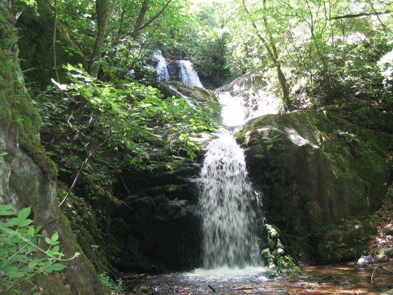 Small Waterfall in Forest — Green, Serene, Afternoon, Photograph, Trees, Rocks, Moss, Brown, White