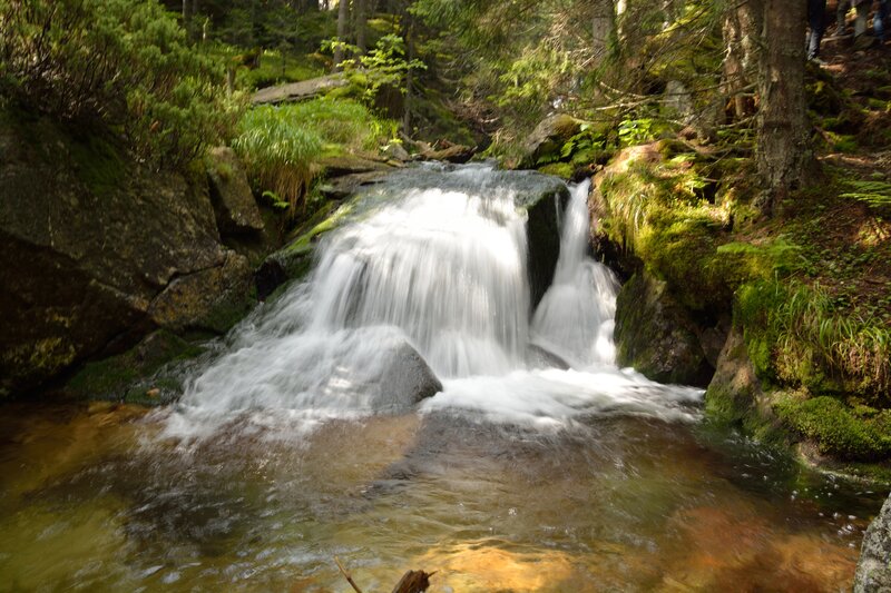 Small Waterfall in Forest — Green, Serene, Afternoon, Photograph, Trees, Rocks, Moss