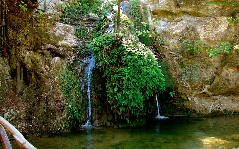 Small Waterfall in Forest — Green, Serene, Afternoon, Photograph, Trees, Rocks, Pool