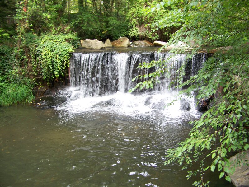 Small Waterfall in Forest — Green, Serene, Afternoon, Photograph, Trees, Rocks, River, Brown