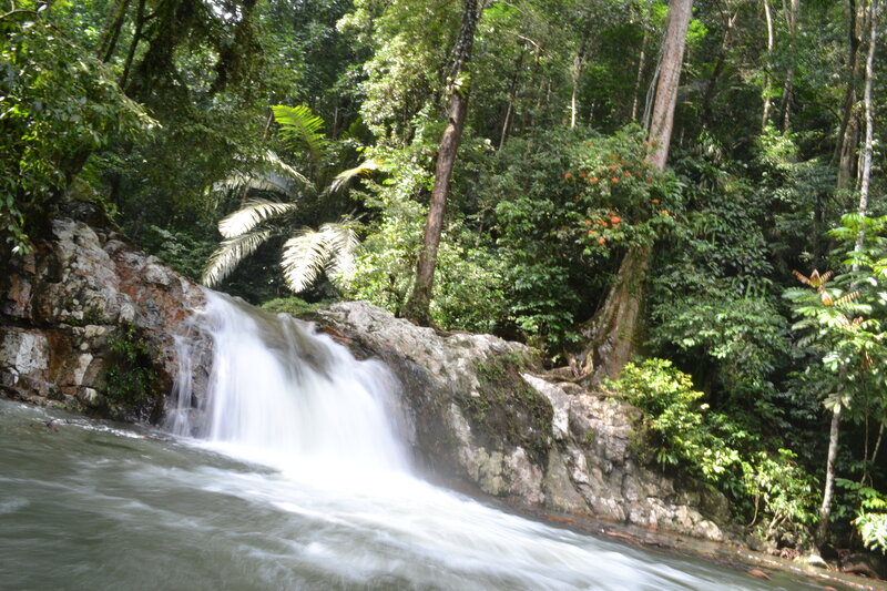 Small Waterfall in Forest — Green, Serene, Afternoon