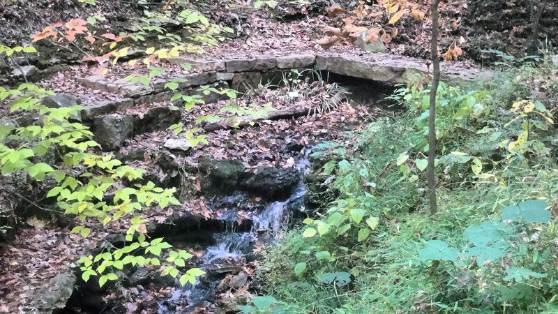 Small Waterfall in Forest — Green, Serene, Autumn, Photograph, Fallen Leaves, Stone Bridge