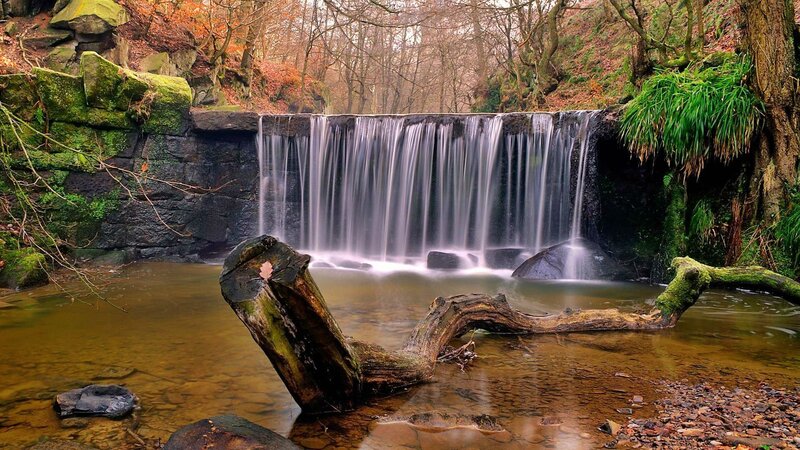 Small Waterfall in Forest — Green, Serene, Autumn, Photograph, Falling Water, Moss-covered Rocks