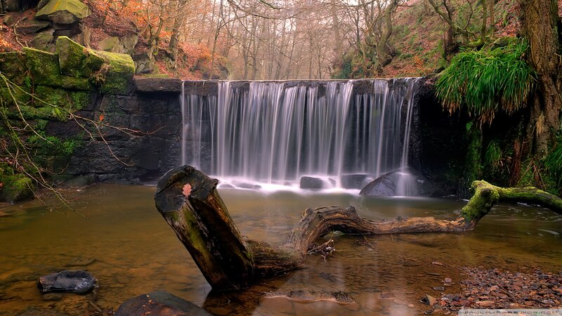 Small Waterfall in Forest — Green, Serene, Autumn, Photograph, Falling Water, Mossy Rocks