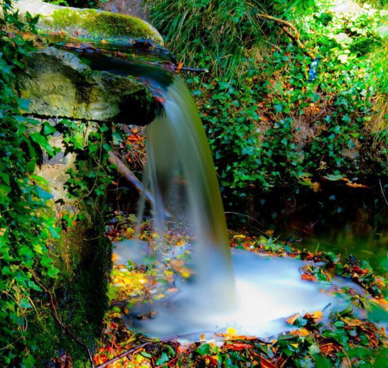 Small Waterfall in Forest — Green, Serene, Autumn, Photograph, Moss, Ivy