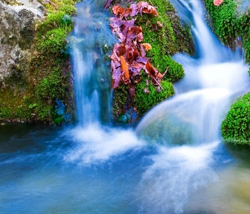 Small Waterfall in Forest — Green, Serene, Autumn, Photograph, Moss, Leaves, Rocks