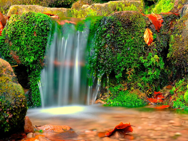 Small Waterfall in Forest — Green, Serene, Autumn, Photograph, Moss, Leaves
