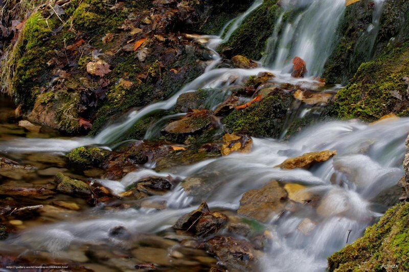 Small Waterfall in Forest — Green, Serene, Autumn, Photograph, Moss, Rocks, Leaves