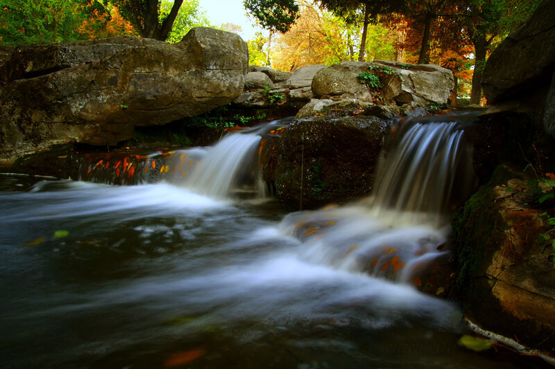Small Waterfall in Forest — Green, Serene, Autumn, Photograph, Rocks, Fallen Leaves