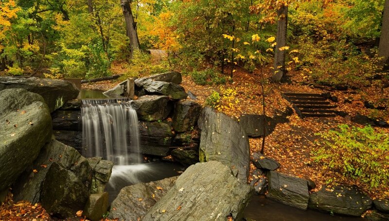 Small Waterfall in Forest — Green, Serene, Autumn, Photograph, Rocks, Fallen Leaves, Trees