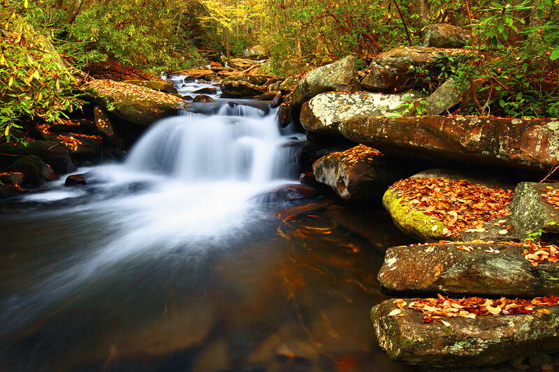 Small Waterfall in Forest — Green, Serene, Autumn, Photograph, Rocks, Leaves, Stream
