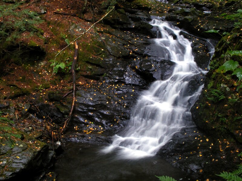 Small Waterfall in Forest — Green, Serene, Autumn, Photograph, Rocks, Leaves