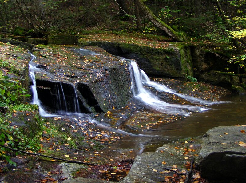 Small Waterfall in Forest — Green, Serene, Autumn, Photograph, Rocks, Leaves, Trees