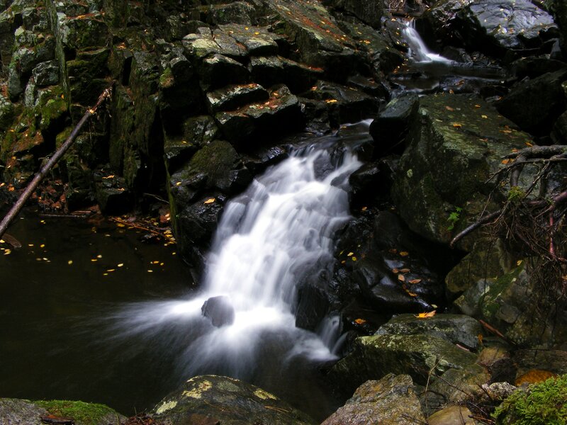 Small Waterfall in Forest — Green, Serene, Autumn, Photograph, Rocks, Moss, Leaves
