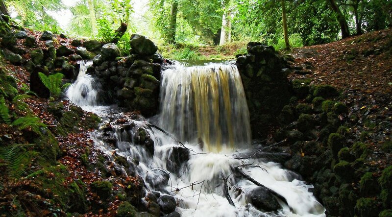 Small Waterfall in Forest — Green, Serene, Autumn, Photograph, Rocks, Trees, Moss