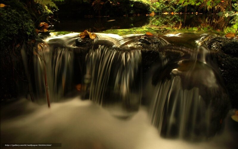 Small Waterfall in Forest — Green, Serene, Autumn, Photograph, Stream
