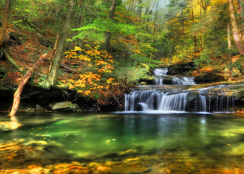 Small Waterfall in Forest — Green, Serene, Autumn, Photograph, Trees, Fallen Leaves, Stream