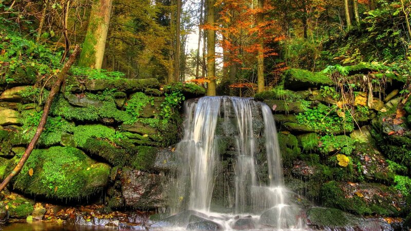 Small Waterfall in Forest — Green, Serene, Autumn, Photograph, Trees, Moss, Rocks, Brown, White