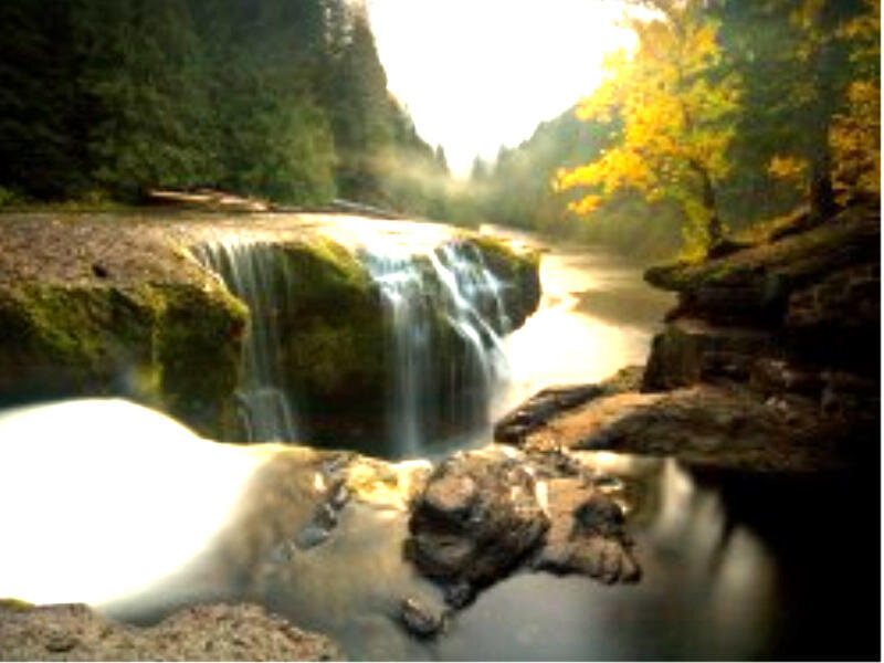 Small Waterfall in Forest — Green, Serene, Autumn, Photograph, Trees, River, Rocks