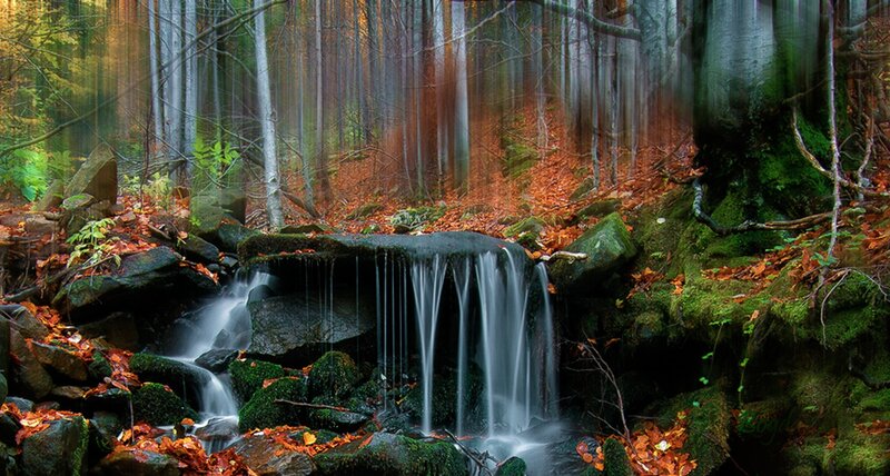 Small Waterfall in Forest — Green, Serene, Autumn, Photograph, Trees, Rocks, Moss