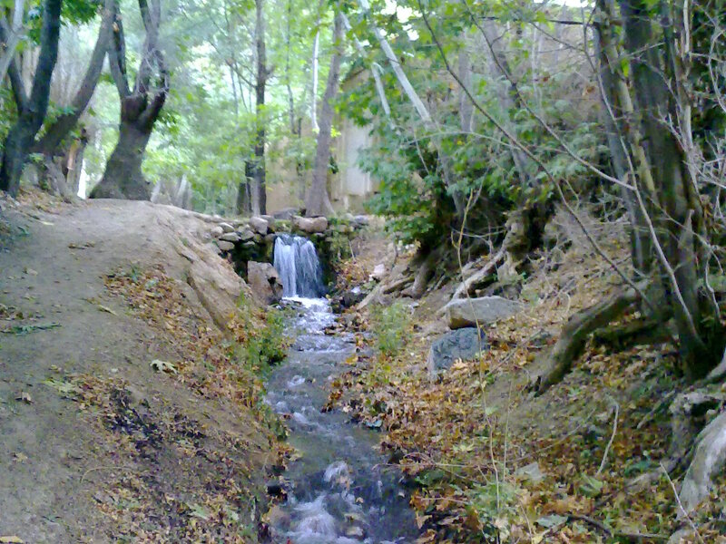 Small Waterfall in Forest — Green, Serene, Autumn, Photograph, Trees, Stream, Rocks, Fallen Leaves