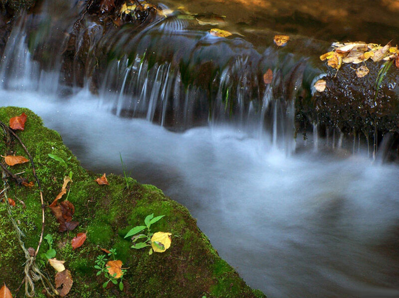 Small Waterfall in Forest — Green, Serene, Autumn