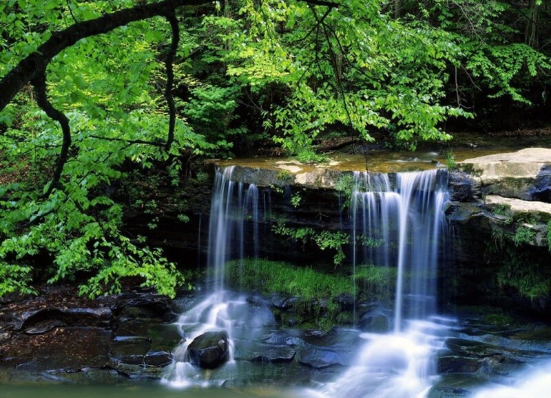 Small Waterfall in Forest — Green, Serene, Daytime, Photograph