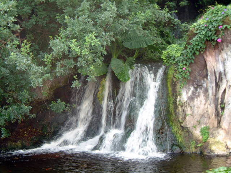 Small Waterfall in Forest — Green, Serene, Daytime