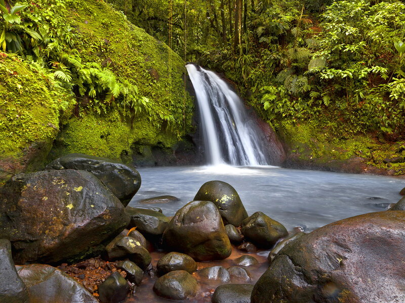 Small Waterfall in Forest — Green, Serene, Morning, Photograph, Moss, Rocks