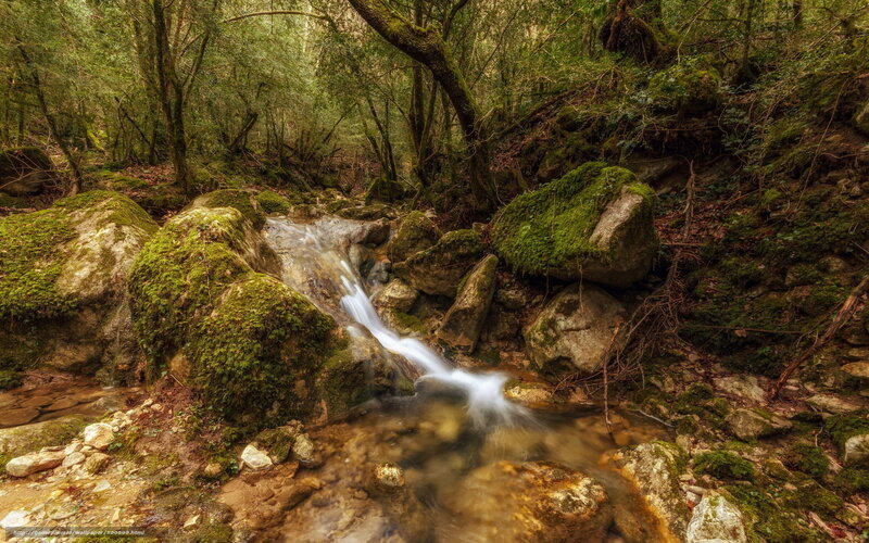 Small Waterfall in Forest — Green, Serene, Morning, Photograph, Moss, Rocks, Trees