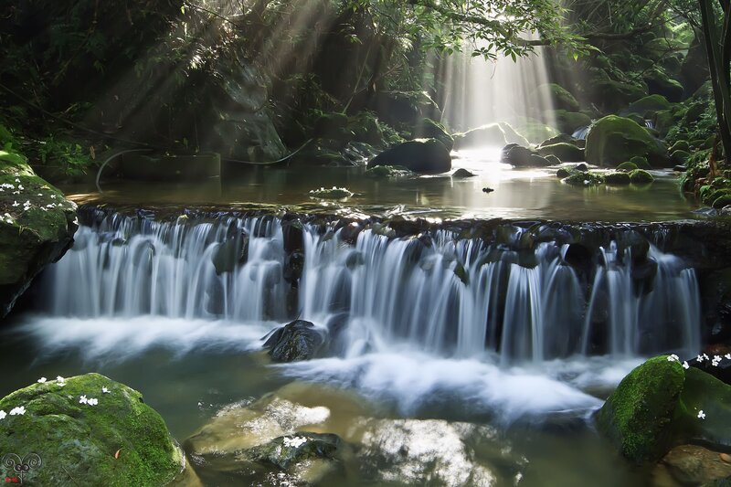 Small Waterfall in Forest — Green, Serene, Morning, Photograph, Mossy Rocks, Sunbeams, Flowers