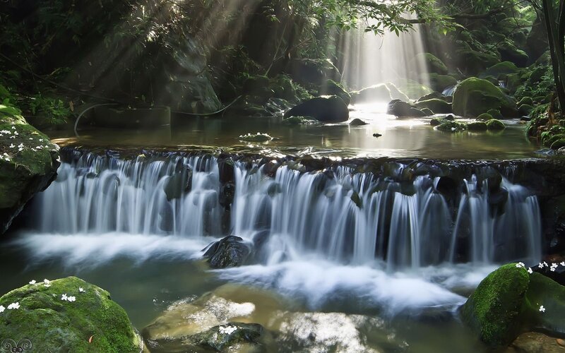 Small Waterfall in Forest — Green, Serene, Morning, Photograph, Mossy Rocks