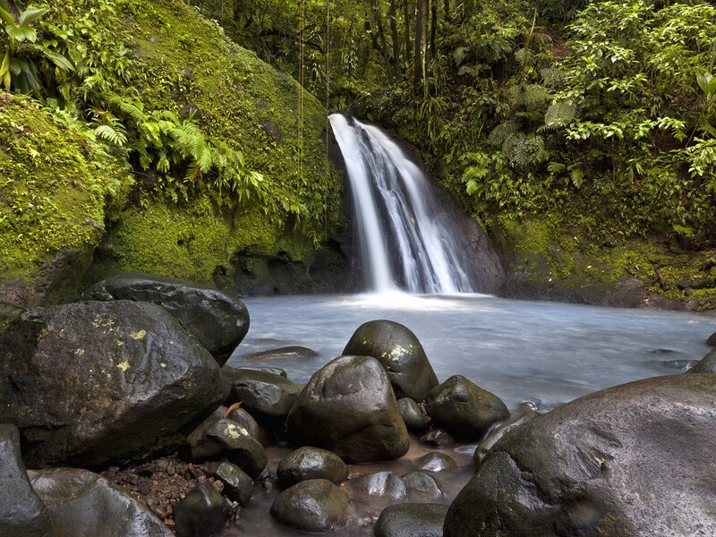 Small Waterfall in Forest — Green, Serene, Morning, Photograph, Rocks, Moss