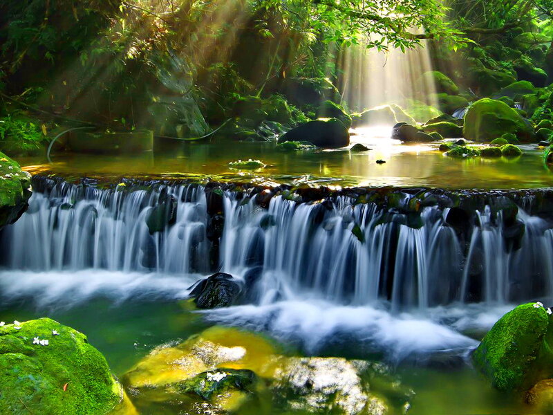 Small Waterfall in Forest — Green, Serene, Morning, Photograph, Stream, Moss
