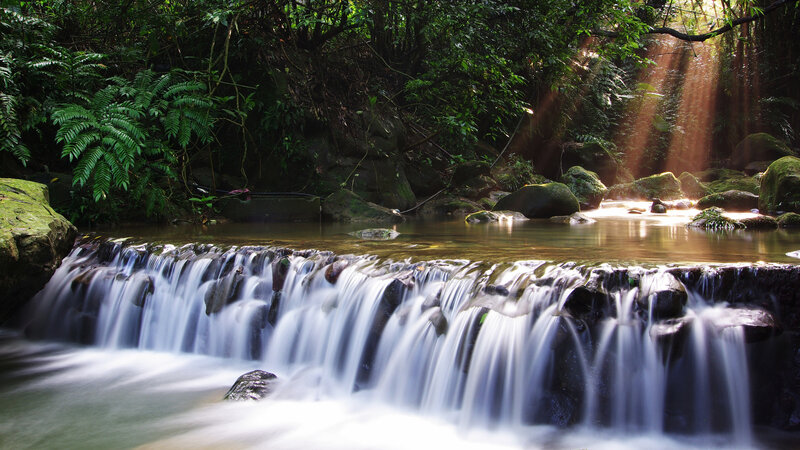 Small Waterfall in Forest — Green, Serene, Morning, Photograph, Stream, Rocks, Sunlight, Brown, White