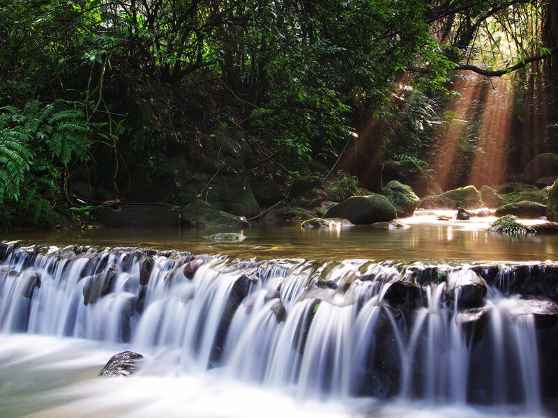 Small Waterfall in Forest — Green, Serene, Morning, Photograph, Stream, Rocks, Sunlight
