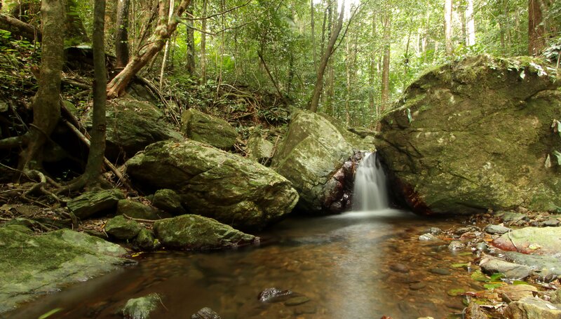 Small Waterfall in Forest — Green, Serene, Morning, Photograph, Stream, Rocks, Trees