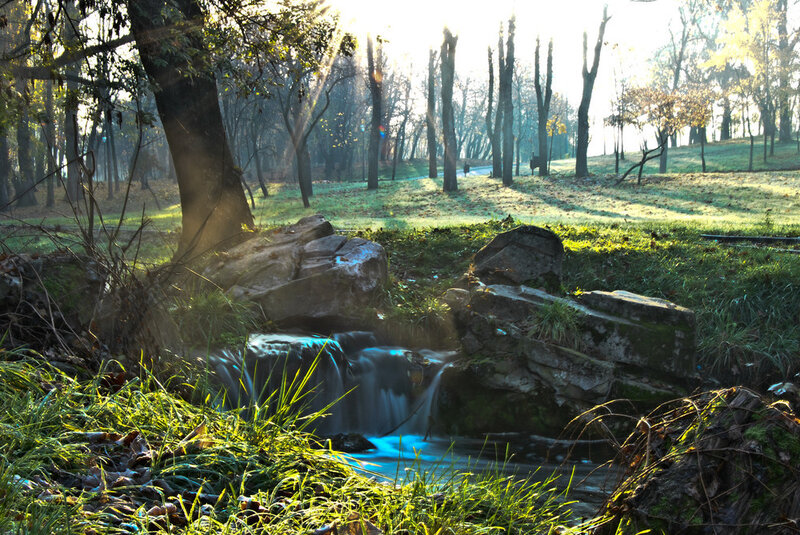 Small Waterfall in Forest — Green, Serene, Morning, Photograph, Trees, Grass