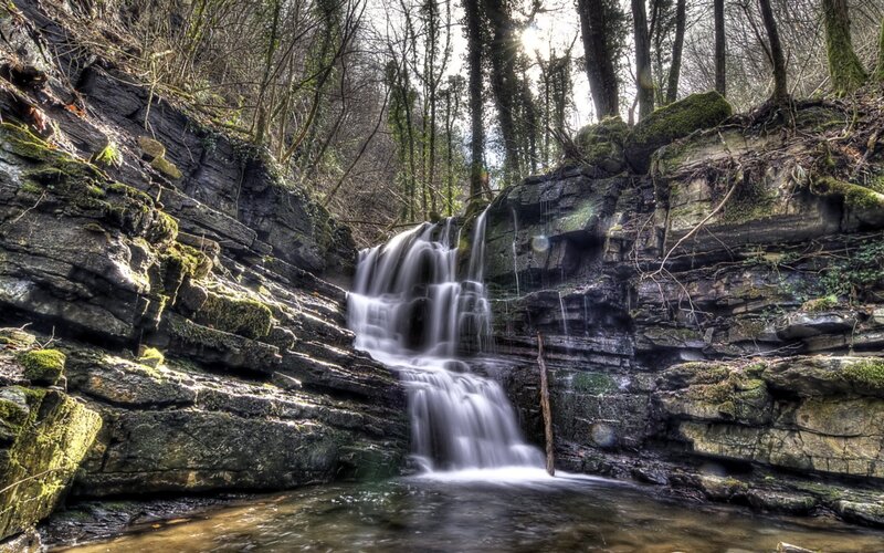Small Waterfall in Forest — Green, Serene, Morning, Photograph, Trees, Rocks, Moss, Brown