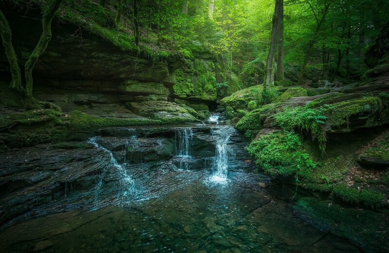 Small Waterfall in Forest — Green, Serene, Morning, Photograph, Trees, Rocks, Moss
