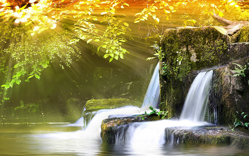 Small Waterfall in Forest — Green, Serene, Morning, Photograph, Trees, Rocks, Moss, Yellow