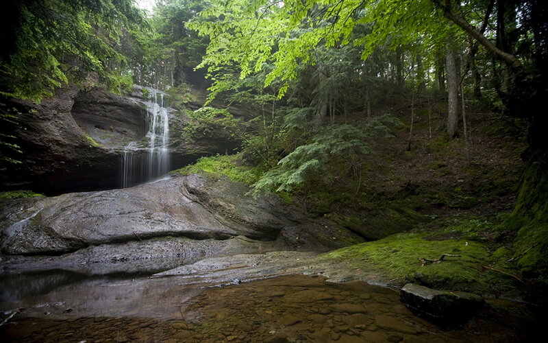 Small Waterfall in Forest — Green, Serene, Morning