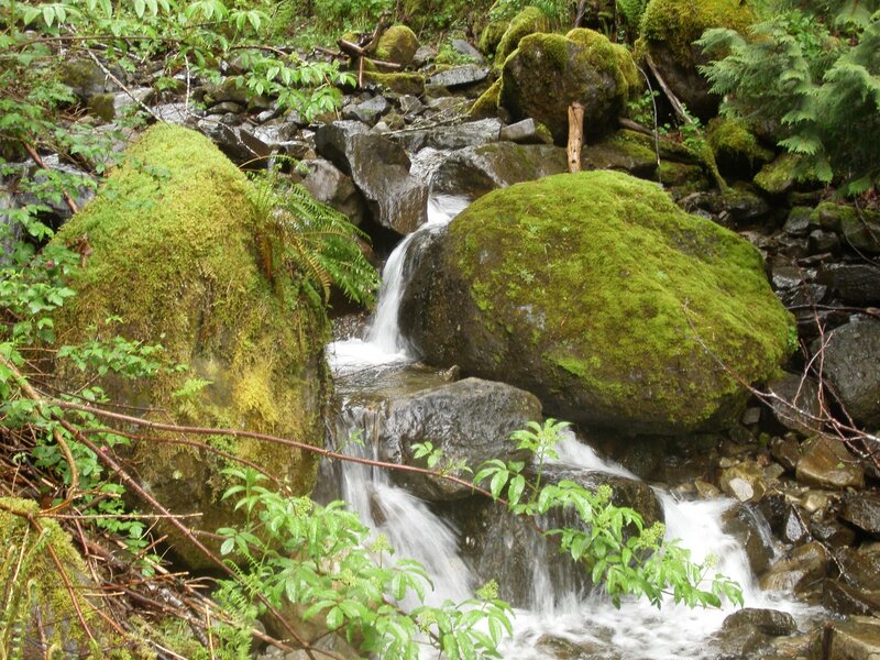 Small Waterfall in Forest — Green, Serene, Photograph, Moss-covered Rocks