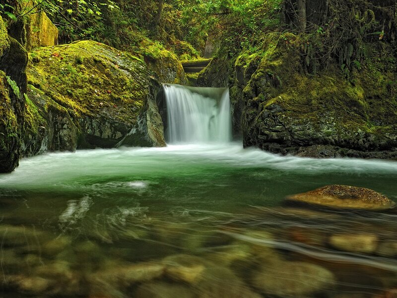 Small Waterfall in Forest — Green, Serene, Photograph, Moss, River