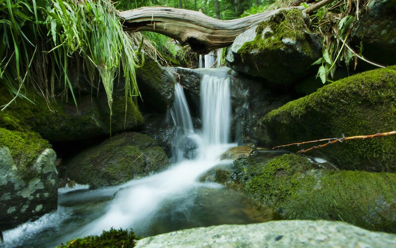 Small Waterfall in Forest — Green, Serene, Photograph, Moss, Rocks, Fallen Log