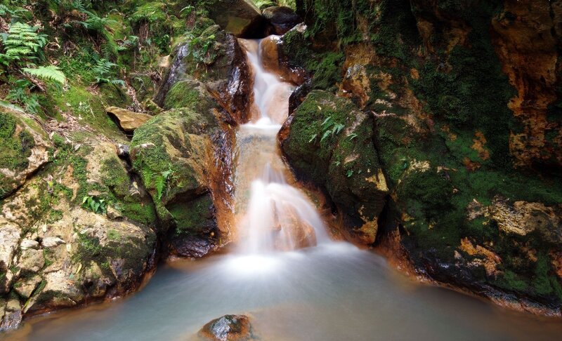Small Waterfall in Forest — Green, Serene, Photograph, Moss, Rocks