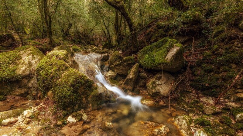 Small Waterfall in Forest — Green, Serene, Photograph, Moss, Rocks, Trees