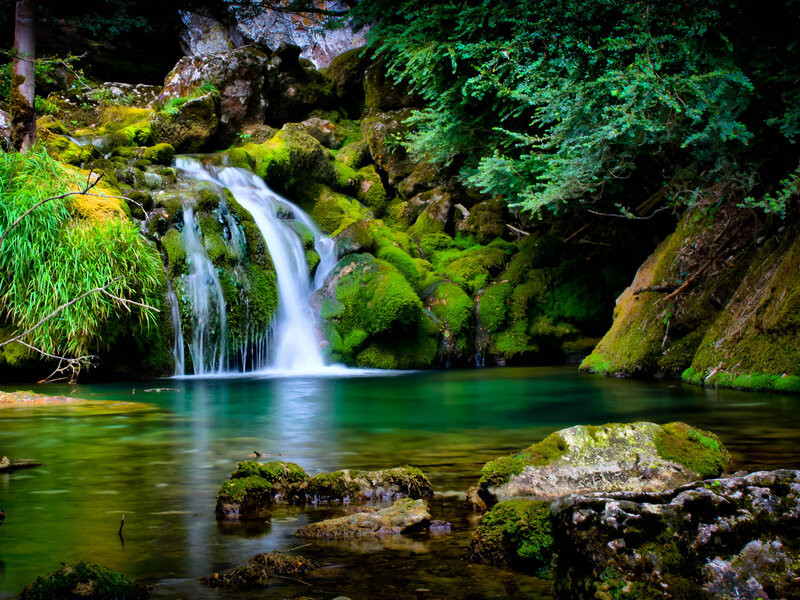 Small Waterfall in Forest — Green, Serene, Photograph, Moss