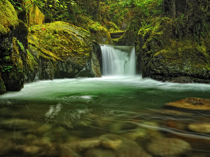 Small Waterfall in Forest — Green, Serene, Photograph, Mossy Rocks, Stream